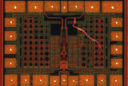 Contamination on Die